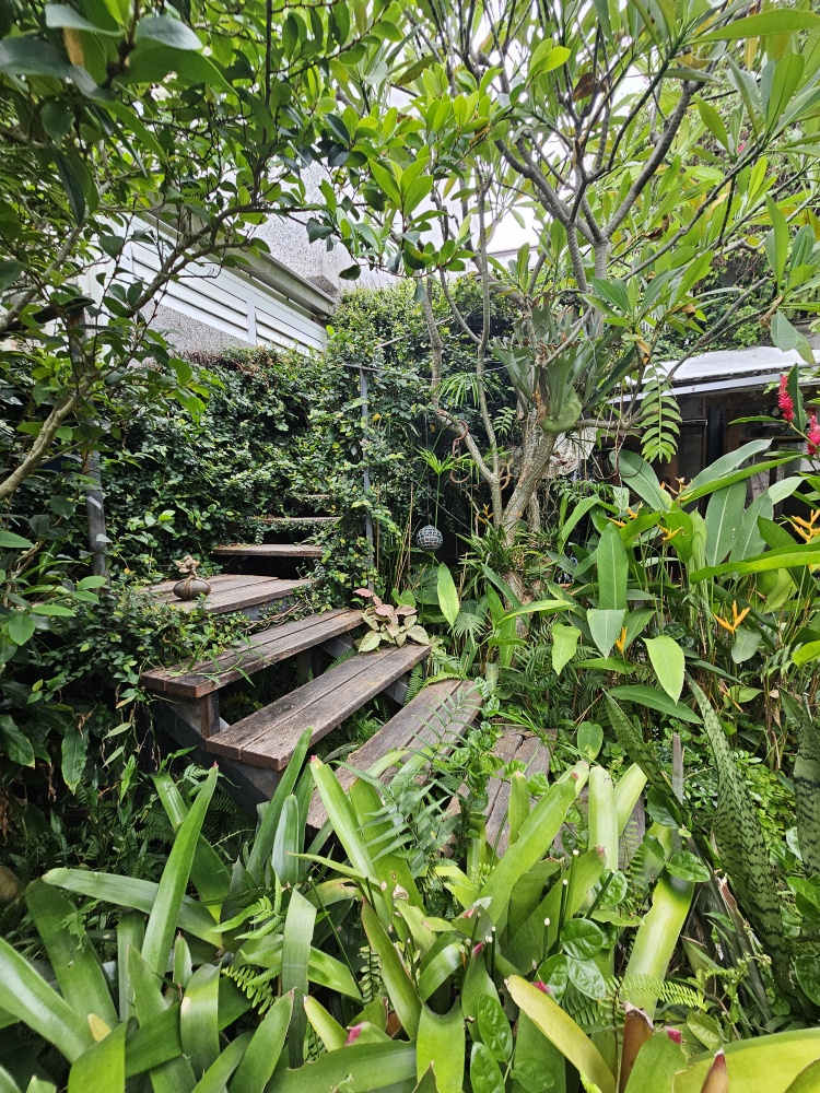 花園裡的綠意