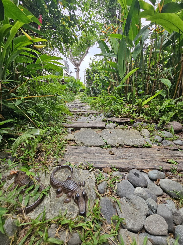 植栽與光影