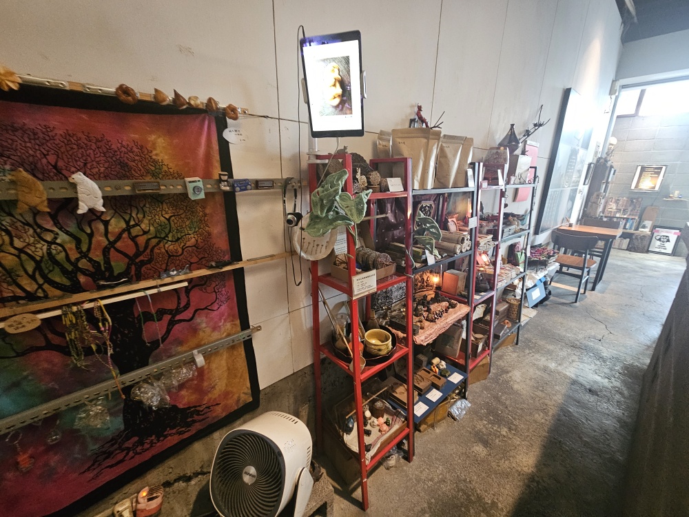 老闆旅行帶回的異國收藏展示架
